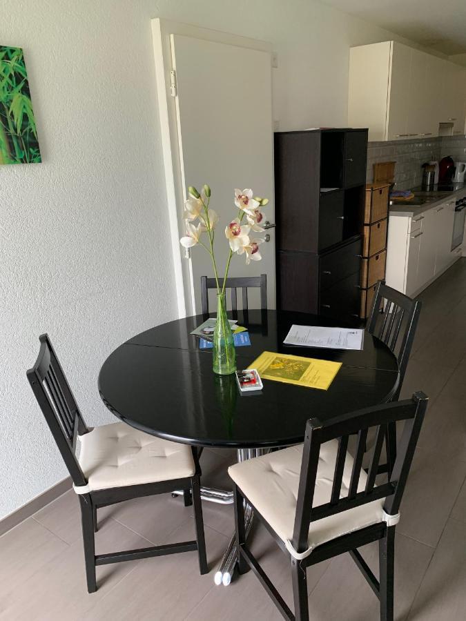 C&c Eco Apartmán